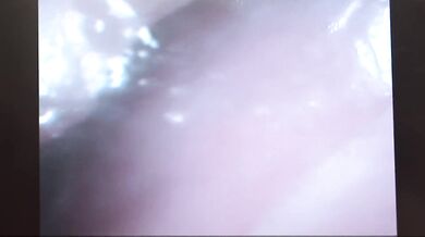 Rika Sakurai sucks dong while is fucked