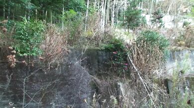 Kuraki Mio enjoys Japan cum in outdoor oral