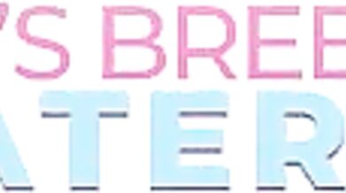You Know Im Breeding Material So Fuck Me