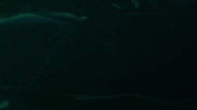 Luminati - Molly Little In Calypso
