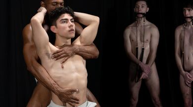 Stable Master Stud Loads Vol. 6