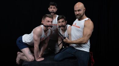 Stable Master Stud Loads Vol. 4