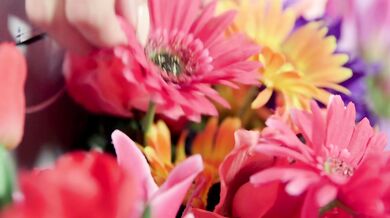 Flowers, a BBC and a creampie