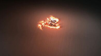 Up Close And Personal!