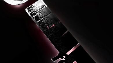 Ms Cains Shoecleaning Bitch